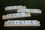 sanctify scrabble (Small)